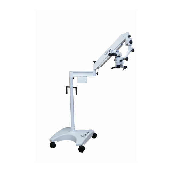 Alpha Slim 3 Dental